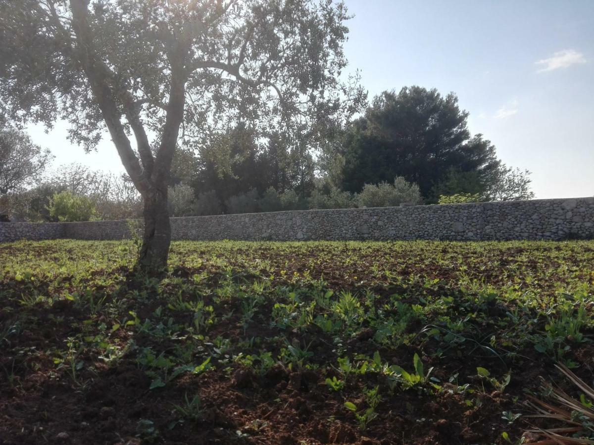 Palacca, Trullo Salentino Andrano Exterior foto